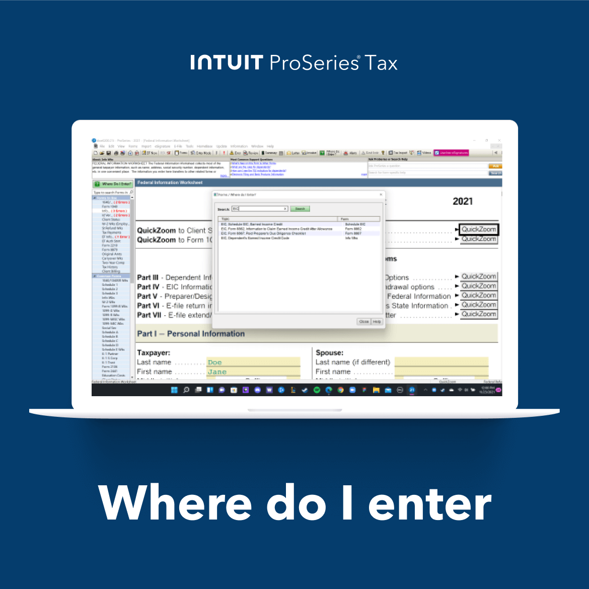screenshot of ProSeries Tax